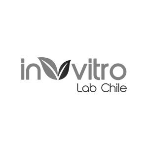 cliente-in-vitro-lab